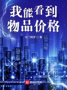 《我能看到物品价格》