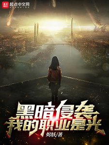 《黑暗侵袭,我的职业是光》