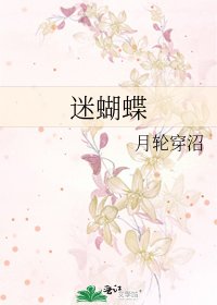 《迷蝴蝶》