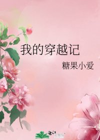 《我的穿越记》