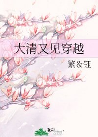 《大清又见穿越》