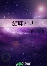 猫咪西西