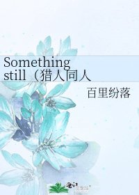 《Something still(猎人同人)(新流星年华)》