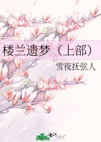 《楼兰遗梦(上部)》