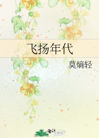 飞扬年代