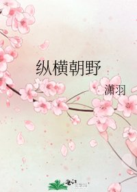 《纵横朝野》