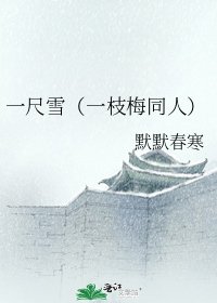 《一尺雪(一枝梅同人)》