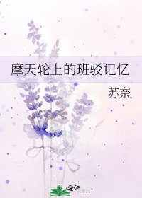 《摩天轮上的班驳记忆》