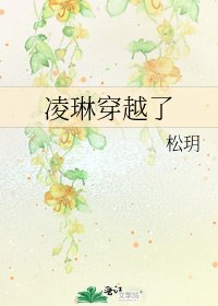 凌琳穿越了