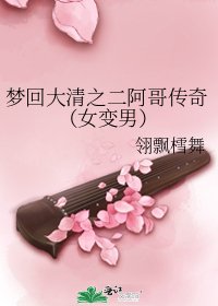 《梦回大清之二阿哥传奇(女变男)》