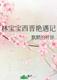 林宝宝西晋艳遇记