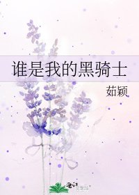 《谁是我的黑骑士》