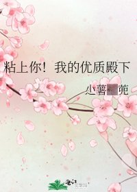 粘上你！我的优质殿下