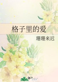 《格子里的爱》