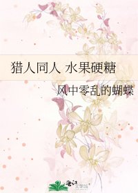 《猎人同人 水果硬糖》