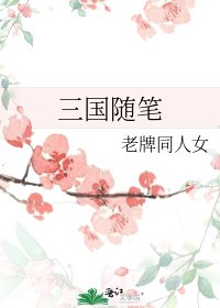 《三国随笔》