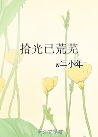 《拾光已荒芜》