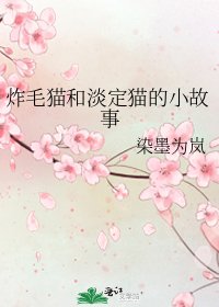 《炸毛猫和淡定猫的小故事》
