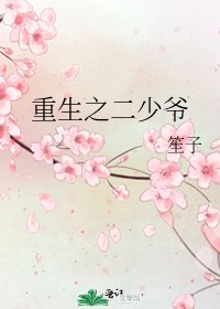 《重生之二少爷》