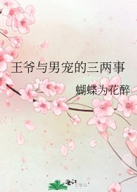《王爷与男宠的三两事》
