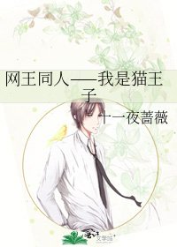 《网王同人——我是猫王子》