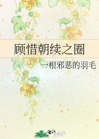 《顾惜朝续之圈》
