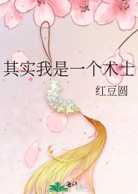 《其实我是一个术士》