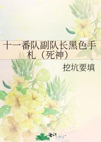 《十一番队副队长黑色手札(死神)》