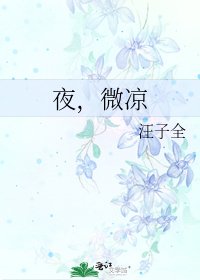 《夜,微凉》