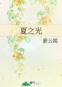 夏之光