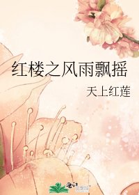 《红楼之风雨飘摇》