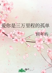 爱你是三万里程的孤单