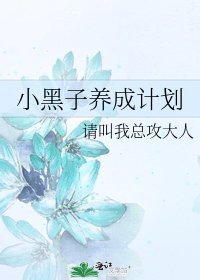 《小黑子养成计划》