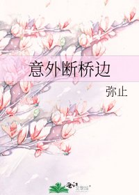 《意外斷橋邊》