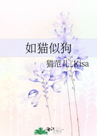 《如貓似狗》