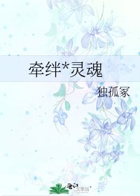 《牵绊*灵魂》