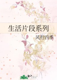 《生活片段系列》