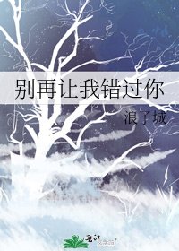 《别再让我错过你》