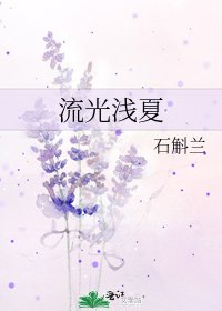 流光淺夏