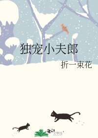 《独宠小夫郎》