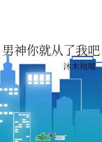 《男神你就从了我吧》