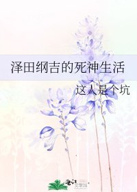 《泽田纲吉的死神生活》