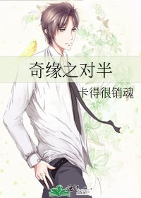 《奇缘之对半》