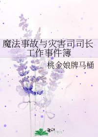 《魔法事故与灾害司司长工作事件簿》