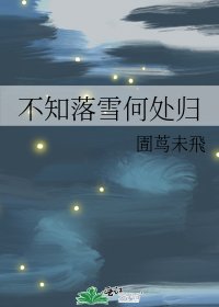 《不知落雪何处归》