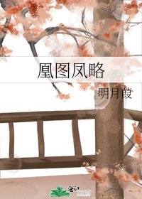 《凰图凤略》