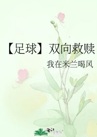 《【足球】雙向救贖》