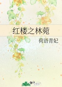 红楼之林菀