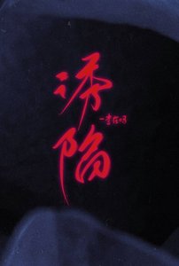 《诱陷》