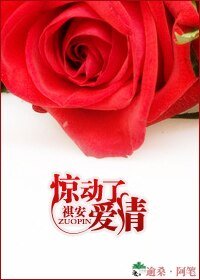 《惊动了爱情(高干情人)》